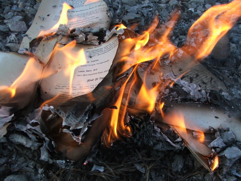 The_House_of_Leaves_-_Burning_4